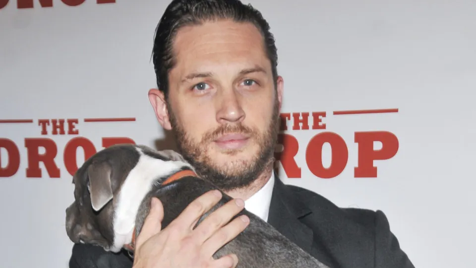 Actors who formed a special bond with their animal co-stars