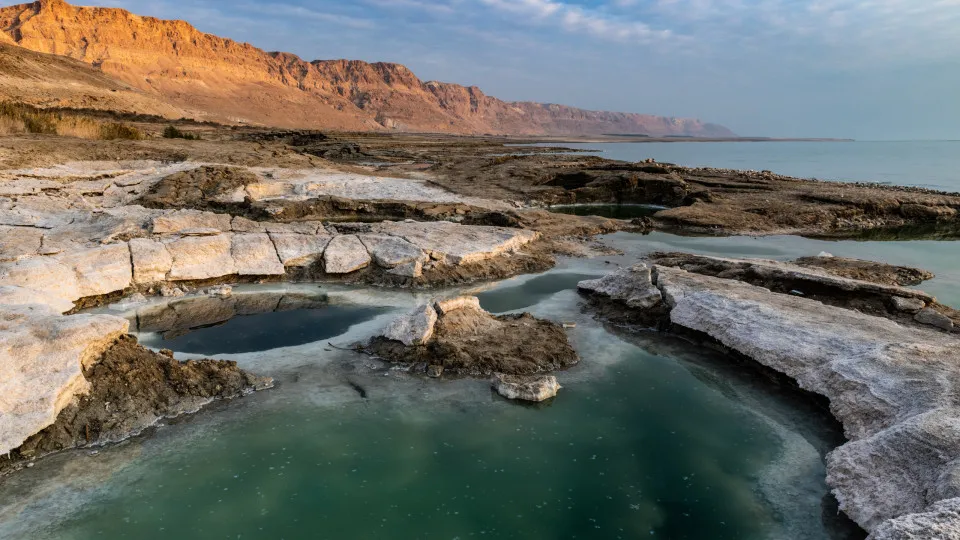 True facts that seem too weird to be real