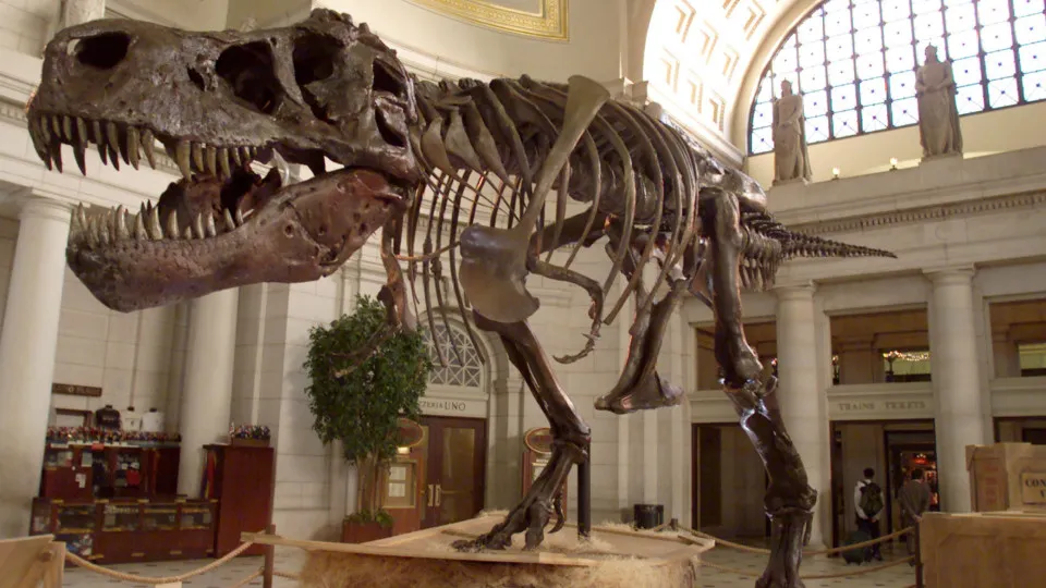 The most dangerous dinosaurs that once ruled the world