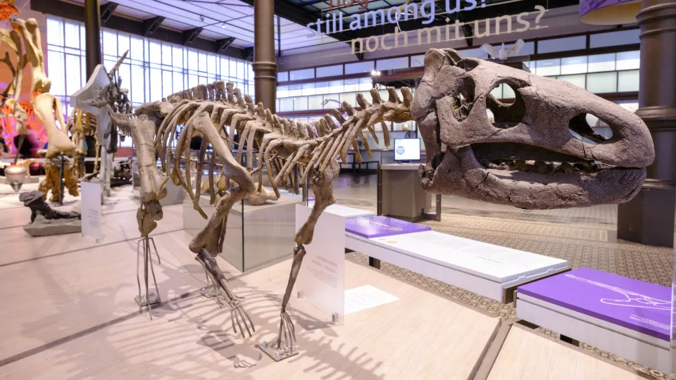 The most dangerous dinosaurs that once ruled the world