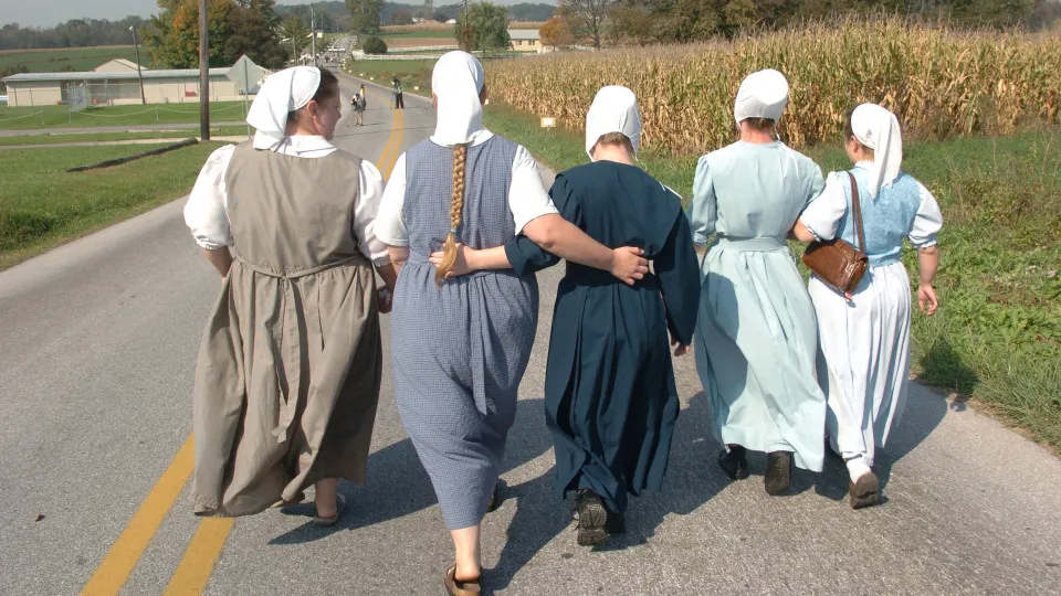 Which US states have the most Amish people?