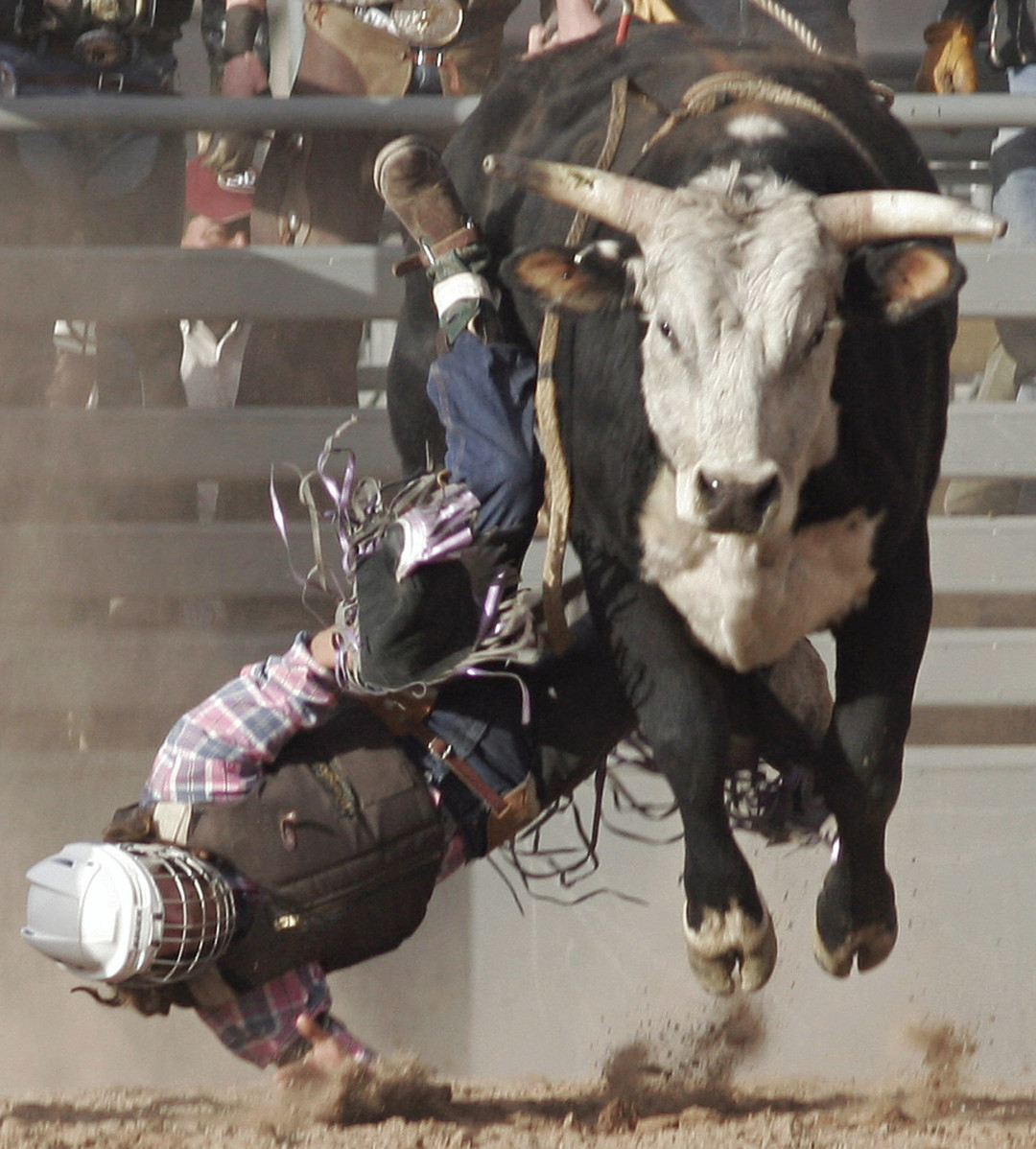 Buck up for North America's gay rodeos