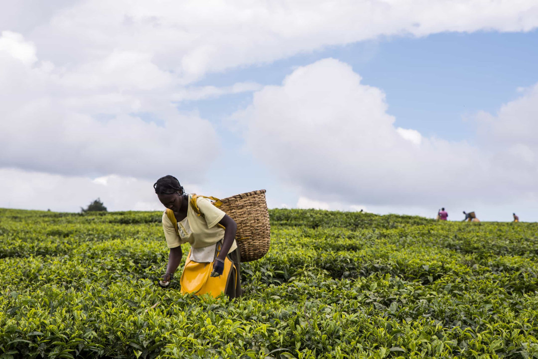 How to live a more Fair Trade lifestyle