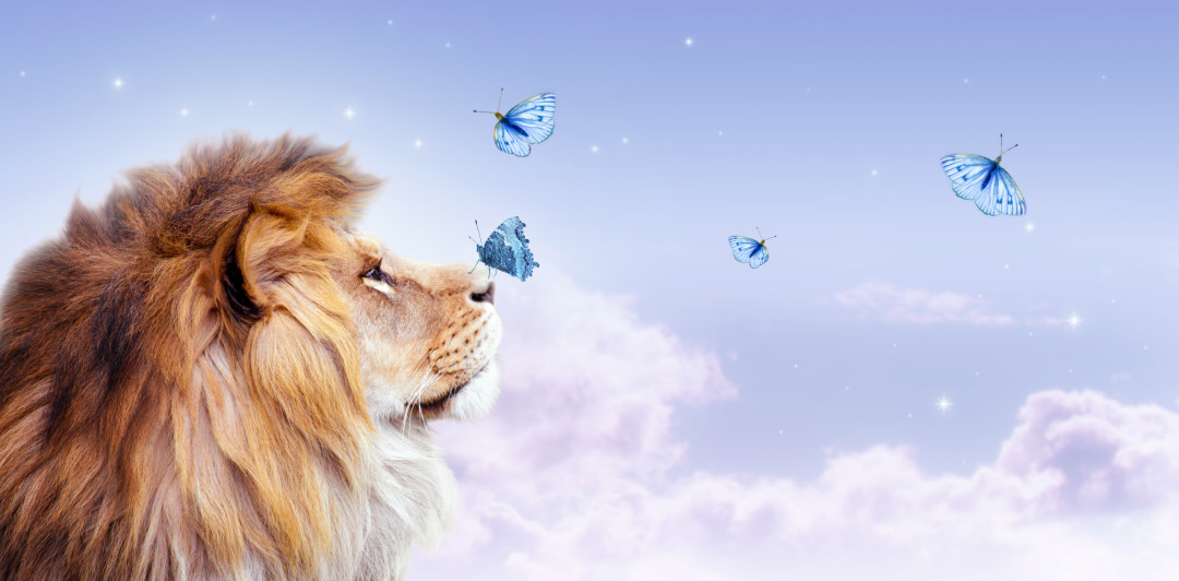What your animal dreams might mean spiritually