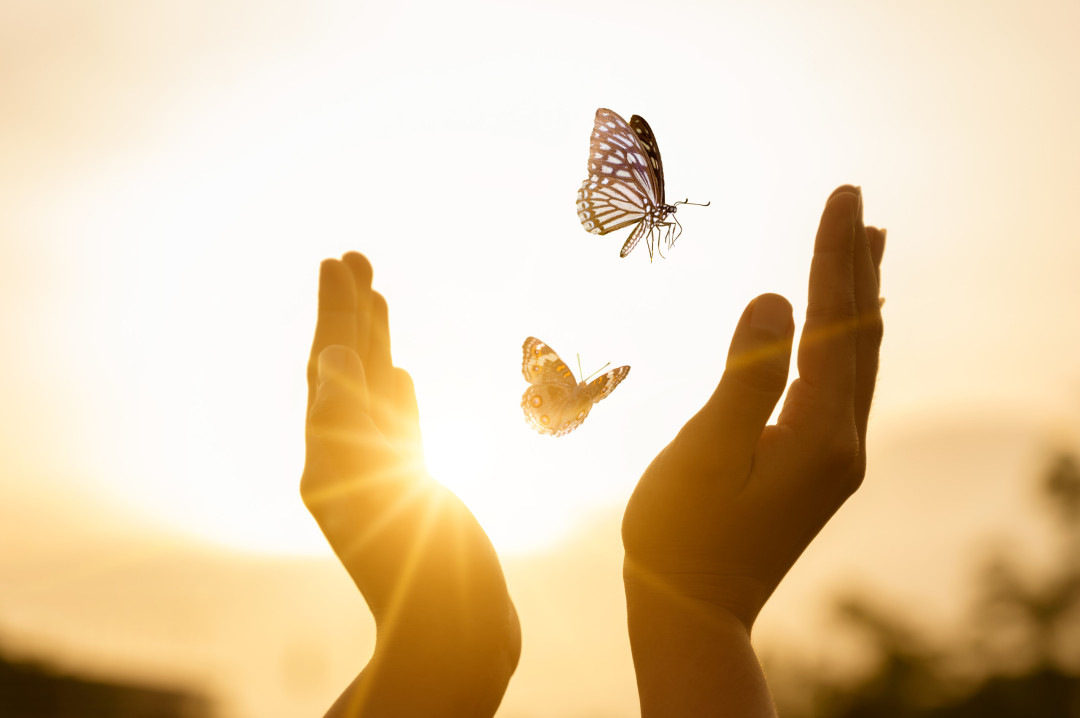 What your animal dreams might mean spiritually