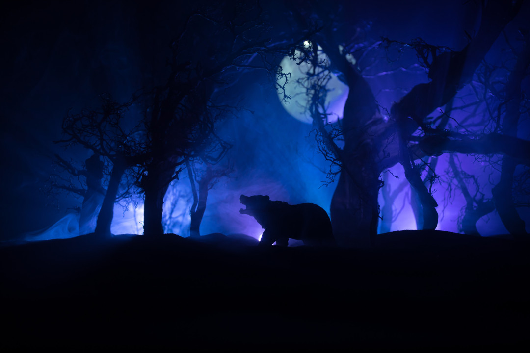 What your animal dreams might mean spiritually