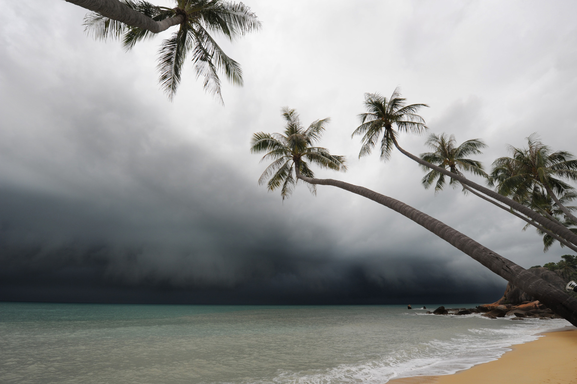 Tempêtes tropicales et répercussions fatales