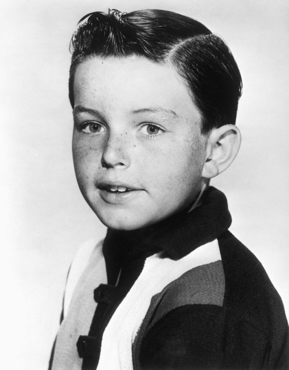 Jerry Mathers