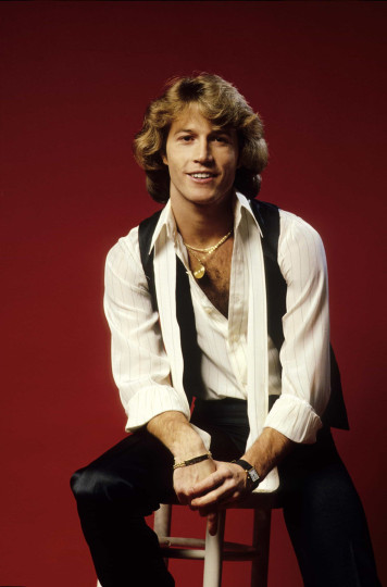 "Shadow dancing" –Andy Gibb (1978)